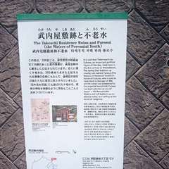 投稿日:2021年5月31日 写真