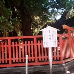 投稿日:2021年5月31日 写真