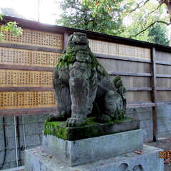 投稿日:2025年7月1日 写真