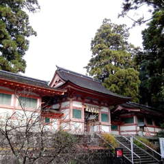 投稿日:2019年12月17日 写真