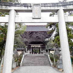 投稿日:2019年12月17日 写真