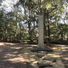 投稿日:2024年1月14日 写真