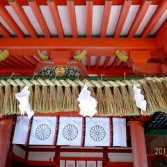 投稿日:2025年7月1日 写真