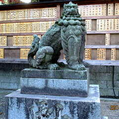 投稿日:2025年7月1日 写真