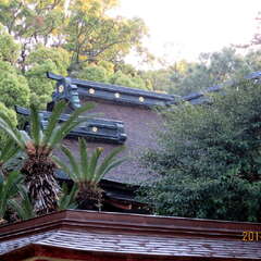 投稿日:2025年7月1日 写真