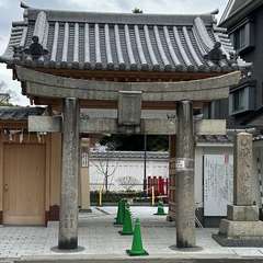 投稿日:2024年1月21日 写真