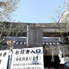 投稿日:2019年12月27日 写真