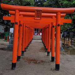 投稿日:2019年6月27日 写真