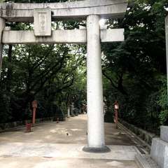 投稿日:2019年7月24日 写真