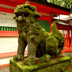 投稿日:2025年10月7日 写真