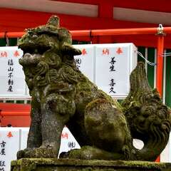 投稿日:2025年2月16日 写真