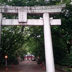 投稿日:2016年3月29日 写真