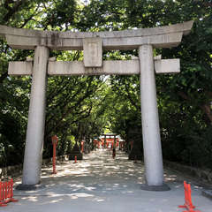 投稿日:2018年10月6日 写真