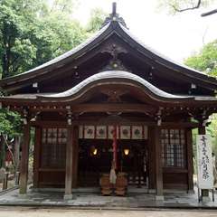 投稿日:2019年9月26日 写真