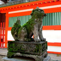 投稿日:2025年7月1日 写真