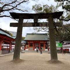 投稿日:2025年2月16日 写真