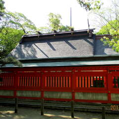 投稿日:2025年7月1日 写真