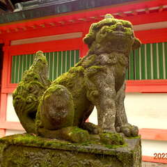 投稿日:2025年10月7日 写真