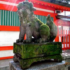 投稿日:2025年7月1日 写真