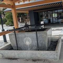 投稿日:2024年3月25日 写真