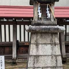 投稿日:2024年3月25日 写真