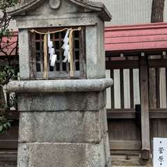 投稿日:2024年3月25日 写真