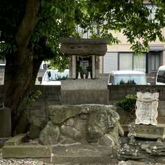 写真