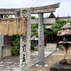 写真