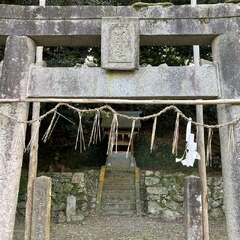 大山祇神社(投稿日:2025年12月29日) 写真