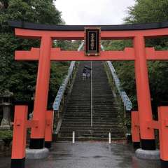 投稿日:2022年6月17日 写真