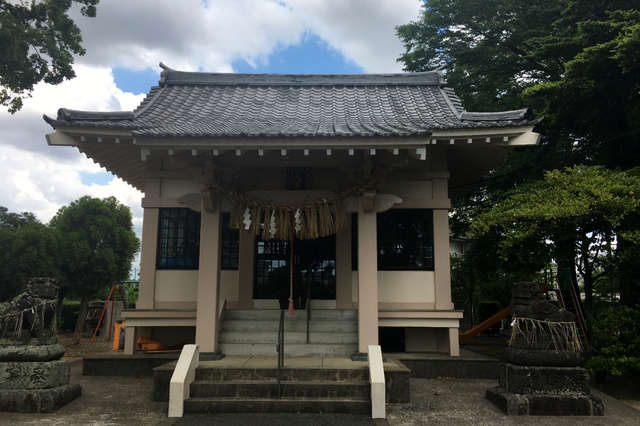 写真