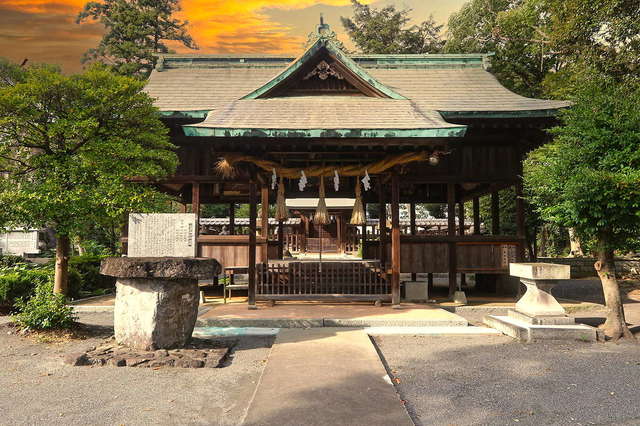 写真