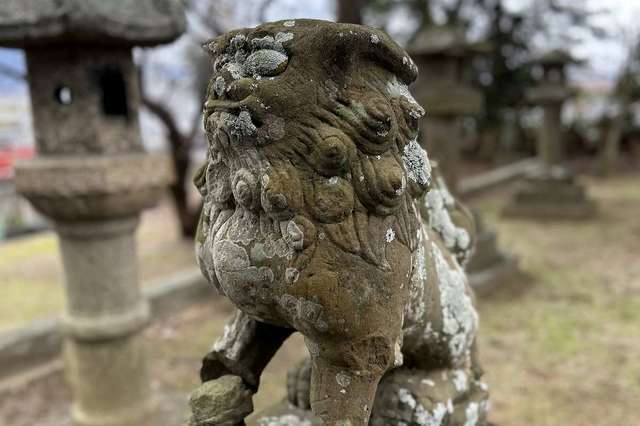 写真