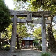 古島老松神社(投稿日:2025年8月22日) 写真