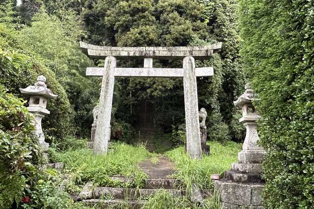 写真