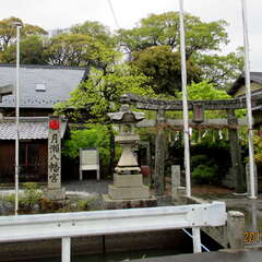 月瀬八幡宮(投稿日:2025年7月1日) 写真