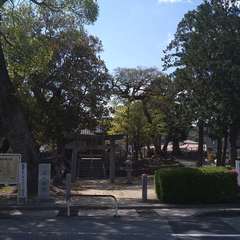 写真
