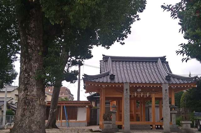 写真