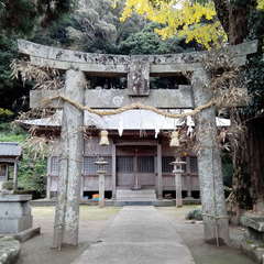 写真