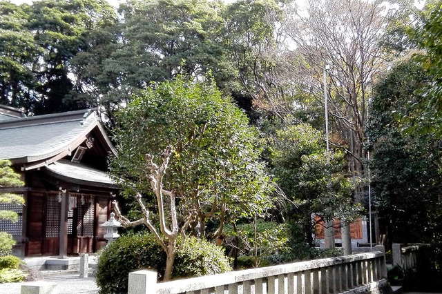 写真