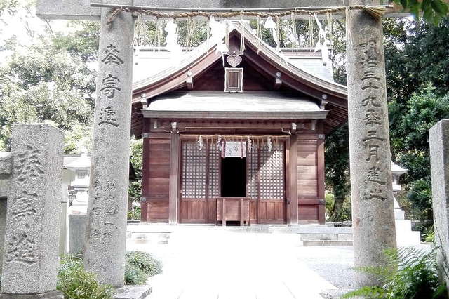 写真