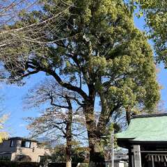 王城神社(投稿日:2025年12月14日) 写真