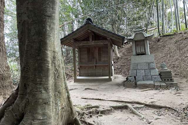 写真