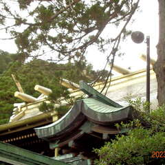 投稿日:2025年10月6日 写真