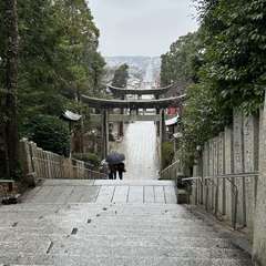 投稿日:2024年2月1日 写真