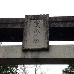 投稿日:2021年1月17日 写真