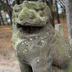 投稿日:2023年11月28日 写真