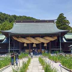 投稿日:2021年6月7日 写真