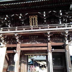 投稿日:2019年11月11日 写真