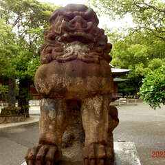 投稿日:2025年10月6日 写真